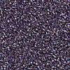 MIYUKI Delica Beads SEED-X0054-DB1244-3