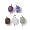 Natural Mixed Gemstone Cuboid Connector Charms PALLOY-JF02788-01-1