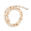 Natural Freshwater Shell Beads Strands SHEL-G013-03A-2