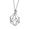 Crystal Holder Cage Necklace NJEW-JN04585-2