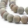 Natural Silver Leaf Jasper Beads Strands G-T106-236-2