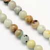 Natural Flower Amazonite Round Beads Strands G-S161-6mm-1