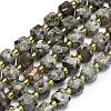 Natural Syenite Beads Strand G-I376-D17-01-1