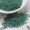 MIYUKI Delica Beads SEED-X0054-DB0060-1