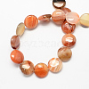 Flat Round Gemstone Natural Red Agate Stone Beads Strands G-S110-14mm-03-2