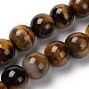 Natural Tiger Eye Round Bead Strands X-G-R200-14mm-1