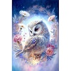 DIY Owl Diamond Painting Kit DIAM-PW0013-02A-1