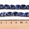 Natural Blue Spot Jasper Beads Strands G-T138-101-5