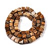 Natural Picture Jasper Beads Strands G-T139-6x6-27A-2