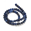 Sodalite Round Bead Strands G-P070-46-6mm-4