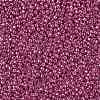 TOHO Round Seed Beads SEED-JPTR11-PF0563-2