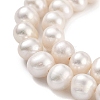 Natural Cultured Freshwater Pearl Beads Strands PEAR-C003-12G-4