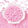 Opaque Baking Paint Glass Seed Beads SEED-T008-02G-2