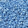 Baking Paint Glass Seed Beads X-SEED-S042-15A-11-3