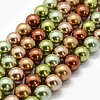 Electroplate Shell Pearl Beads Strands X-BSHE-G018-02-10mm-1