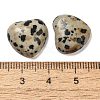 Natural Dalmatian Jasper Cabochons G-F776-02A-22-3