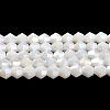 Opaque Solid Color Electroplate Glass Beads Strands LS-GLAA-F029-P4mm-A15-1
