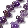 Natural Amethyst Beads Strands G-P520-A07-01-1