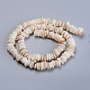 Natural Freshwater Shell Beads Strands SHEL-D078-01B-2