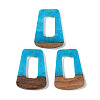 Resin & Wood Pendants WOOD-F015-11E-1