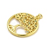 Rack Plating Brass Micro Pave Cubic Zirconia Pendants KK-C074-05G-2