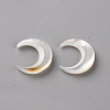 Natural White Shell Beads SSHEL-Q311-004B-01-1