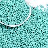 Baking Paint Glass Seed Beads SEED-K010-A19-1