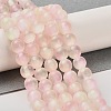 Natural Selenite Dyed Beads Strands G-P493-02J-2