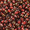Glass Seed Beads X1-SEED-H002-B-D205-3