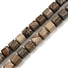 Natural Picture Jasper Beads Strands G-G275-D19-10x10mm-2