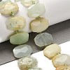 Natural Green Opal Beads Strands G-H078-B07-01-2