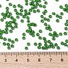 MIYUKI Round Rocailles Beads X-SEED-G008-RR0411-4