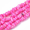 Natural Freshwater Shell Beads Strands SHEL-N003-23-B05-1