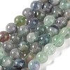 Natural Fluorite Beads Strands G-P530-B04-04-1