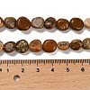 Natural Picture Jasper Beads Strands G-P497-01E-59-5