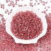 Baking Paint Transparent Glass Seed Beads SEED-N006-05E-2