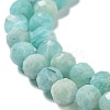Natural Amazonite Beads Strands G-J400-E11-04-4