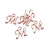 Rose Gold Plated Alloy Letter Pendants X-PALLOY-J718-01RG-M-2