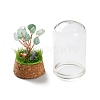 Natural Green Aventurine Chips Money Tree in Dome Glass Bell Jars with Wood Base Display Decorations DJEW-K030-02N-3