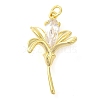 Rack Plating Brass Cubic Zirconia Pendants KK-S396-33G-1