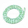 Natural Freshwater Shell Beads Strands SHEL-N003-25-B03-2