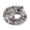 Natural Gemstone Cloudy Quartz Round Bead Strands G-O021-10mm-03B-2