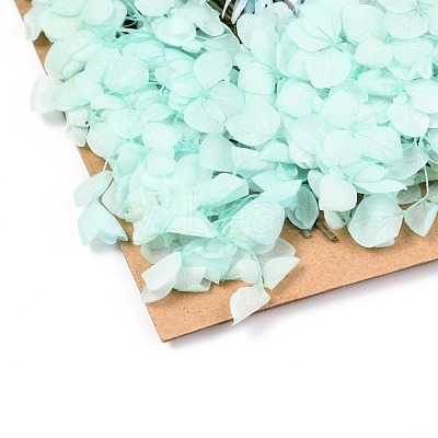 Dried Flower DIY-B018-07-1