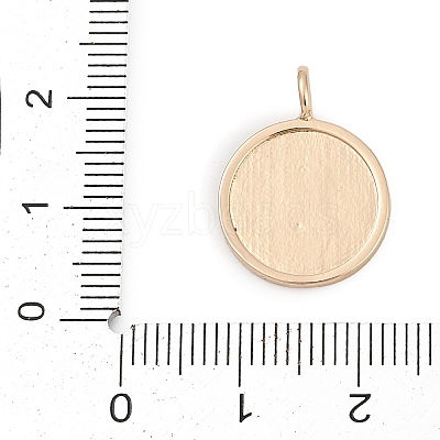 Brass with Enamel Pendants KK-Q096-02G-1
