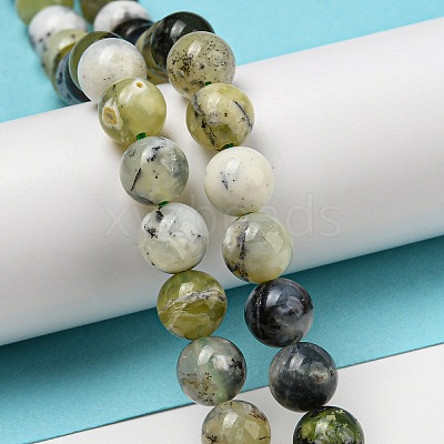 Natural Green Opal Beads Strands G-R494-A11-03-1