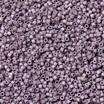 MIYUKI Delica Beads SEED-MY11-DB1064-1