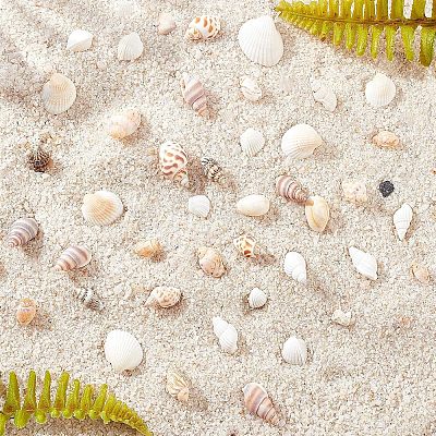 Natural Conch Shell Beads SSHEL-FH0001-05-1