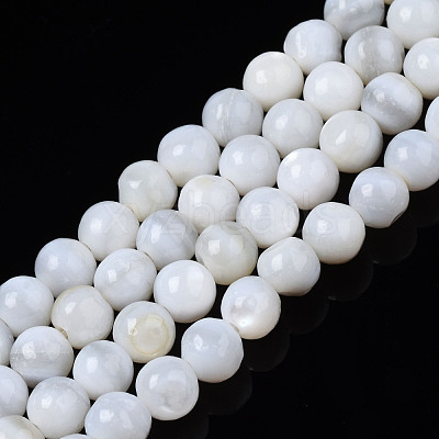 Natural Freshwater Shell Beads Strands BSHE-T009B-01A-1