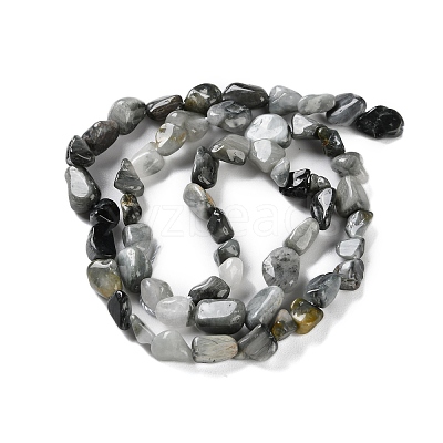 Natural Eagle Eye Stone Beads Strands X-G-P497-01C-52-1