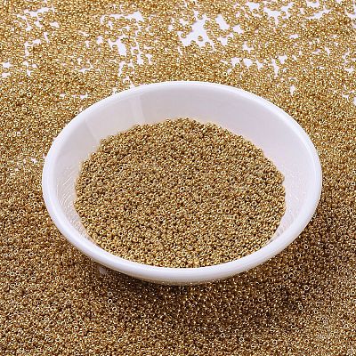 MIYUKI Round Rocailles Beads X-SEED-G007-RR4203-1